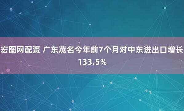 宏图网配资 广东茂名今年前7个月对中东进出口增长133.5%
