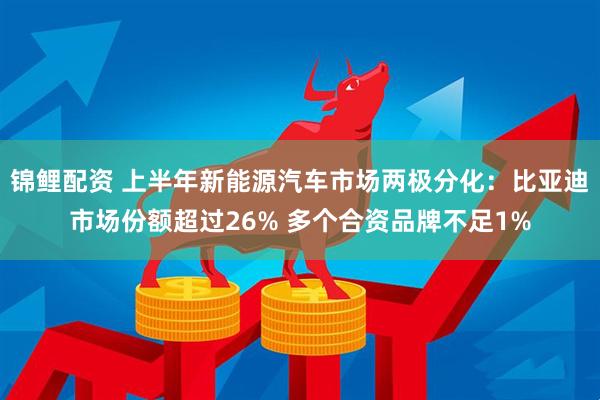 锦鲤配资 上半年新能源汽车市场两极分化：比亚迪市场份额超过26% 多个合资品牌不足1%